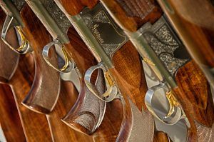 guns 467710